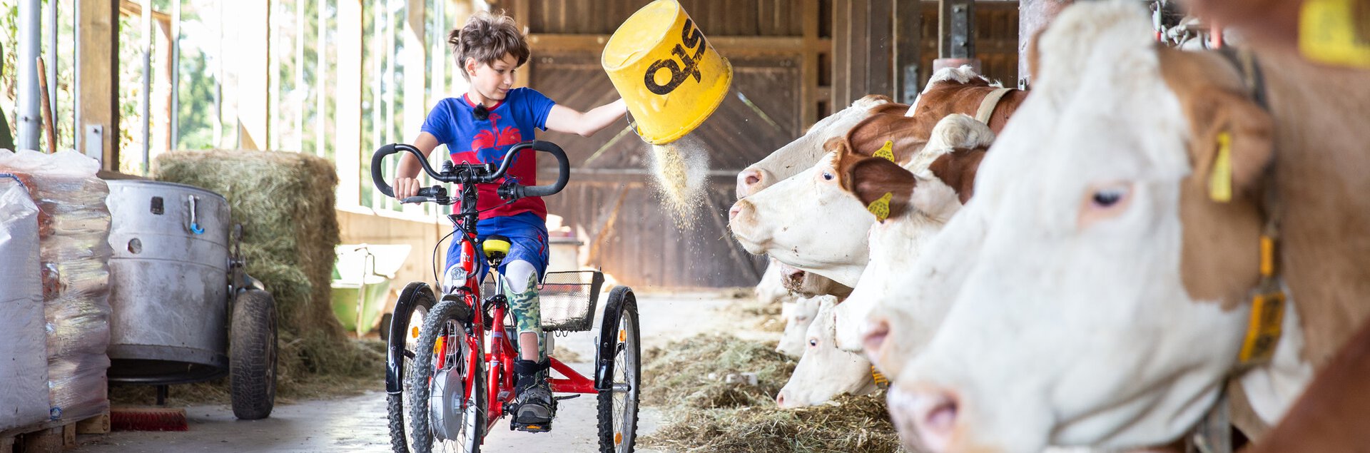 Reha Fahrrad  | © Pohlig GmbH