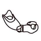 asset_image